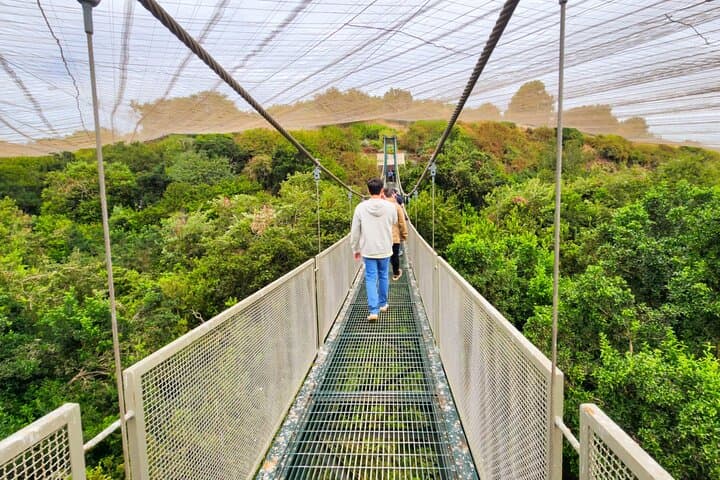 Parque Tricao Aviary and Undurraga Vineyard Day Tour from Santiago