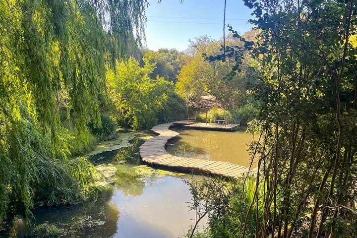 Parque Tricao Aviary and Undurraga Vineyard Day Tour from Santiago photo 2