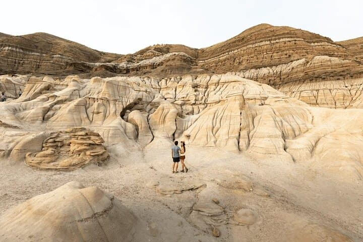 Day Trip to Drumheller: Hoodoos Trail & Royal Tyrrell Museum photo 3