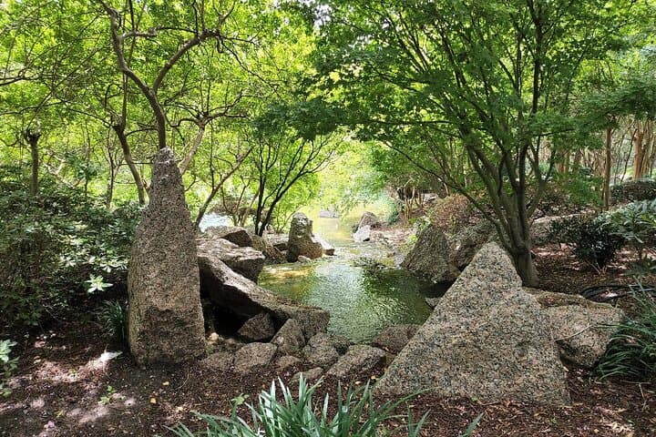 Two-Hour Hermann Park Garden Tour — Houston Centennial & Japanese Gardens photo 4