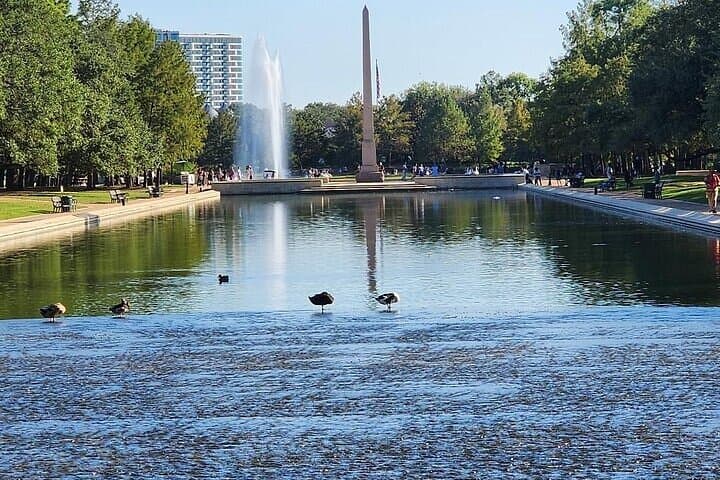 Three-Hour Garden Tour in Houston: Hermann Park, Japanese Garden & Arboretum photo 4