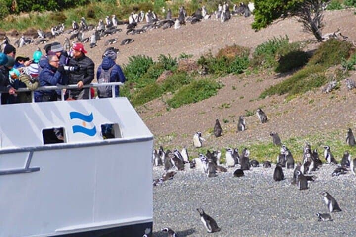 Beagle Channel Penguin Cruise to Martillo Island & Les Éclaireurs Lighthouse photo 6