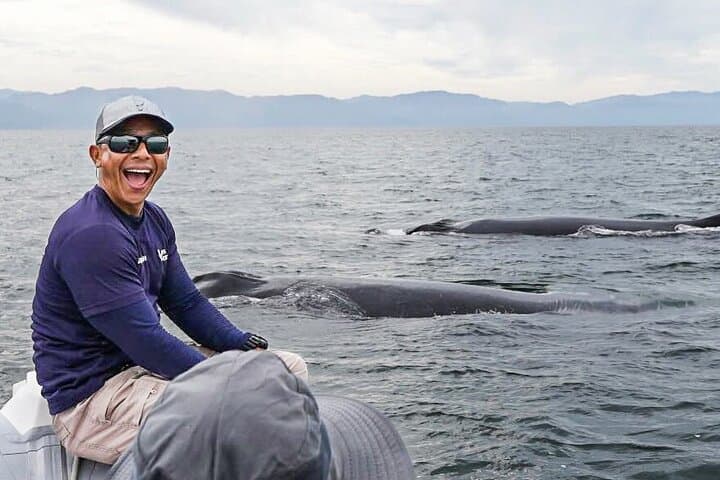 Puerto Vallarta Speedboat and Box Lunch Whale Watching Tour photo 2