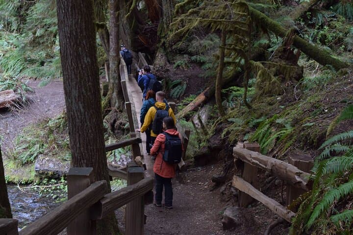 Half-Day Guided Tour: Lake Crescent & Marymere Falls in Olympic National Park photo 6