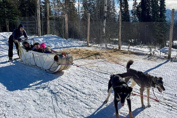 Whitehorse Dog Sledding Adventure: Huskies & Indigenous Culture in the Yukon photo 3