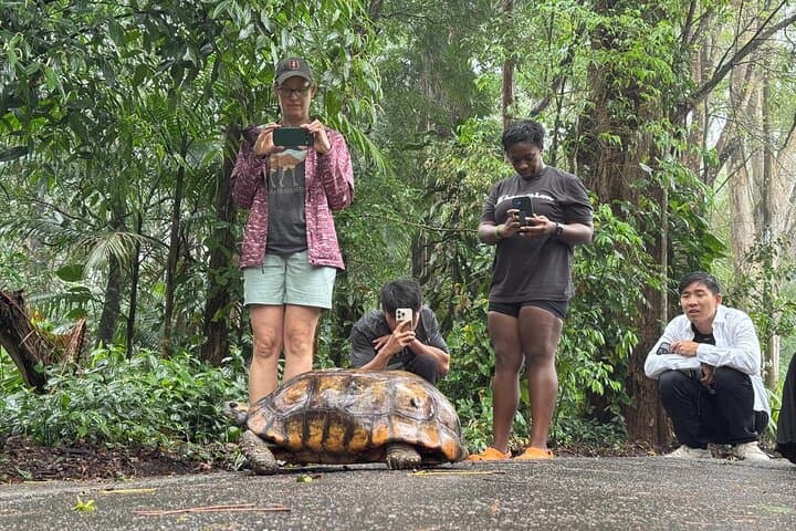 Tijuca Forest Tour: Waterfalls, Caves & Views in Rio de Janeiro photo 5
