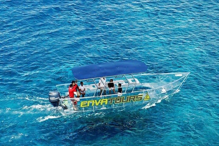 Cabo Clearboat to the Arch: Glass-Bottom Cruise to El Arco and Marine Life