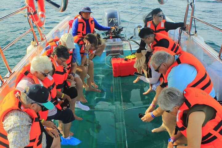 Cabo Clearboat to the Arch: Glass-Bottom Cruise to El Arco and Marine Life photo 3