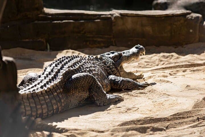 Explore Gold Coast’s Thrills and Views: 3-Day Dreamworld, WhiteWater World & SkyPoint Experience photo 6