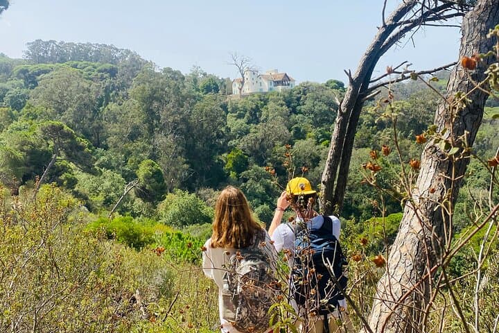 Tangier Coastal Hike: Perdicaris Forest, Ghanam Rock & Merkala Beach photo 4