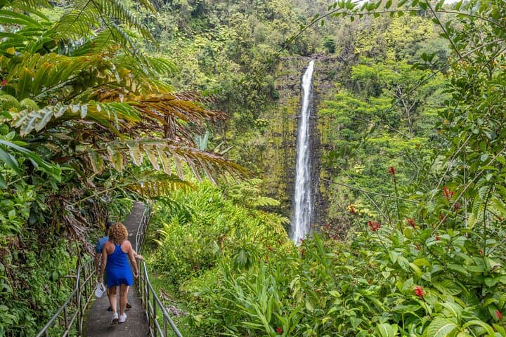 Exploring the Big Island’s Most Stunning Waterfalls: A Private All-Inclusive Tour photo 6