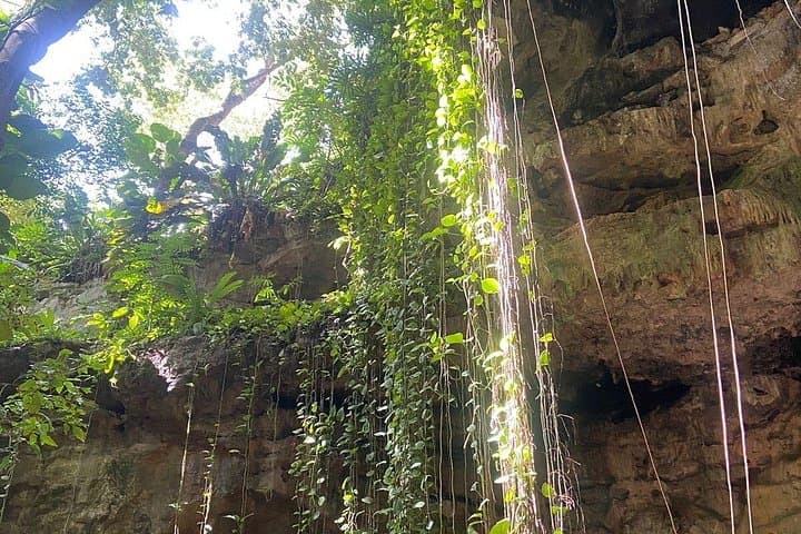 Full-Day Tour: 17th-Century Hacienda and Two Cenotes Near Mérida photo 4