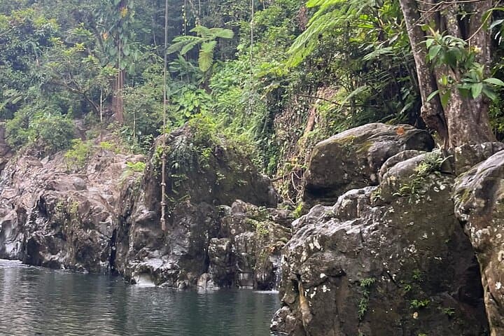 El Yunque Hidden Waterfalls & Natural Water Slides: Tinajas Adventure Guide photo 3