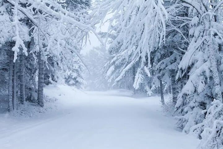 Acadia National Park Winter Driving Tour — Bar Harbor Private Jeep Experience