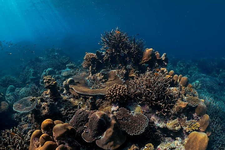 Surin Islands Snorkeling & Mai Ngam Beach Day Trip from Phuket photo 4