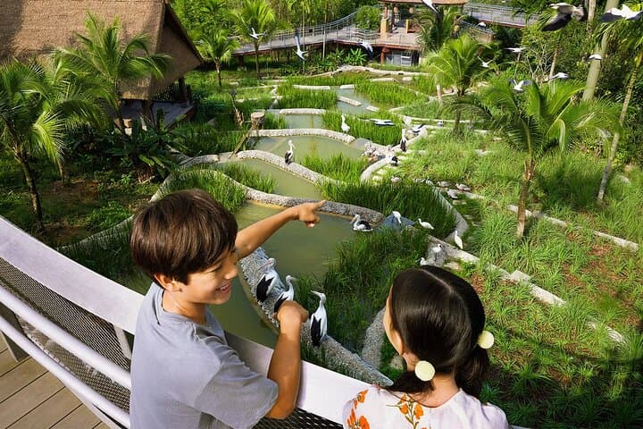 Bird Paradise Singapore: Insider Guide to the Mandai Aviary Experience photo 4