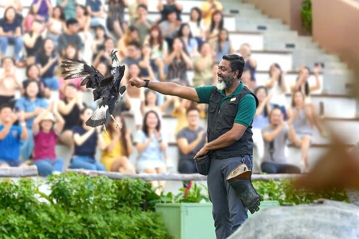 Bird Paradise Singapore: Insider Guide to the Mandai Aviary Experience photo 5