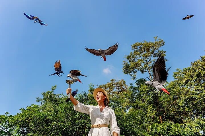 Bird Paradise Singapore: Insider Guide to the Mandai Aviary Experience photo 6