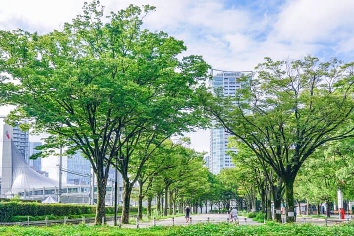 Electric Bike Tour Tokyo: 3-Hour Shibuya & Shinjuku Highlights photo 3