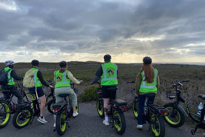 Cape Point E-Bike Tour: Explore Nature, Wildlife & Lighthouse Views photo 6
