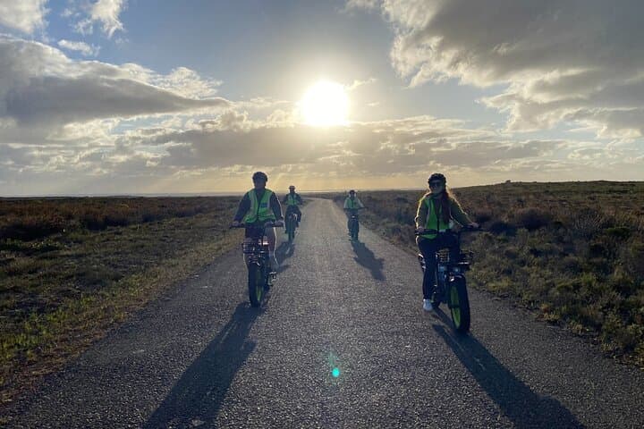 Cape Point E-Bike Tour: Explore Nature, Wildlife & Lighthouse Views photo 3