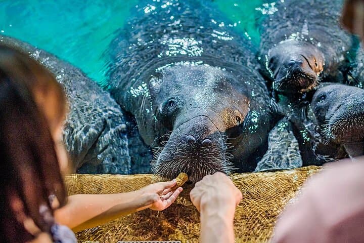 River Wonders Singapore: Giant Pandas, Amazon River Quest & Family Wildlife Adventure photo 2