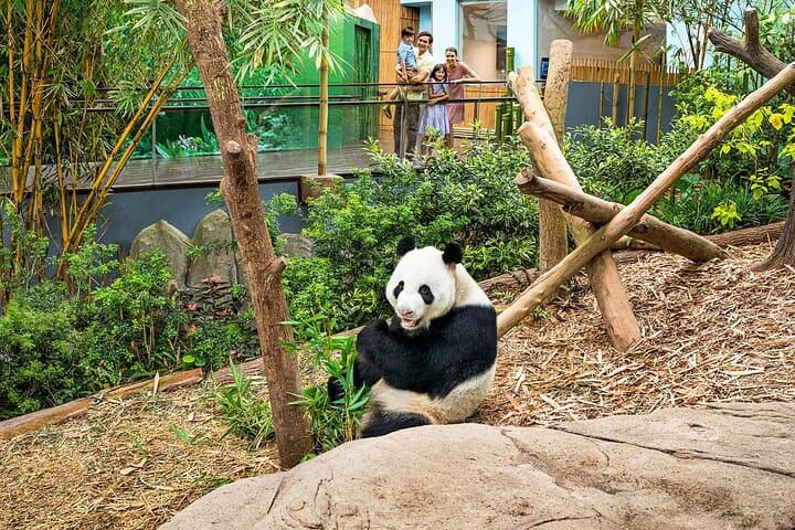 River Wonders Singapore: Giant Pandas, Amazon River Quest & Family Wildlife Adventure photo 3