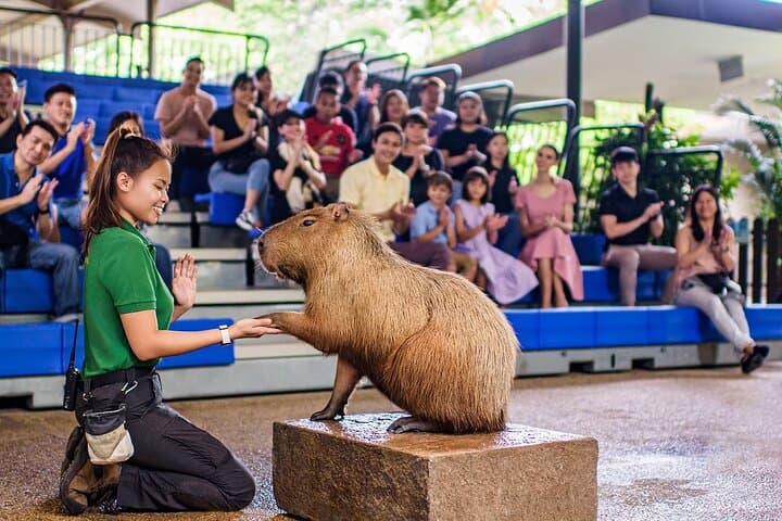River Wonders Singapore: Giant Pandas, Amazon River Quest & Family Wildlife Adventure photo 4