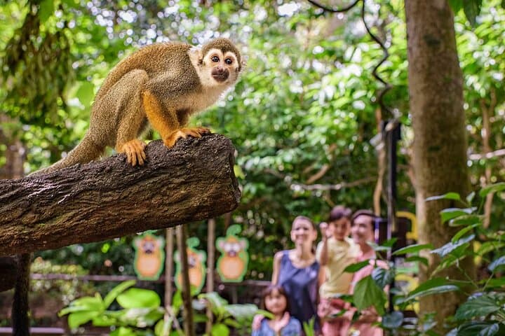 River Wonders Singapore: Giant Pandas, Amazon River Quest & Family Wildlife Adventure photo 5