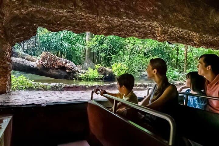 River Wonders Singapore: Giant Pandas, Amazon River Quest & Family Wildlife Adventure photo 6