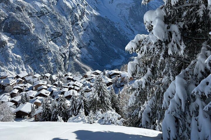 Mürren Snowshoe & Raclette Adventure: Alpine Trails, Quiet Views, Swiss Picnic photo 1