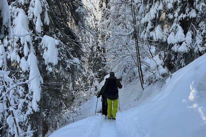 Mürren Snowshoe & Raclette Adventure: Alpine Trails, Quiet Views, Swiss Picnic photo 2