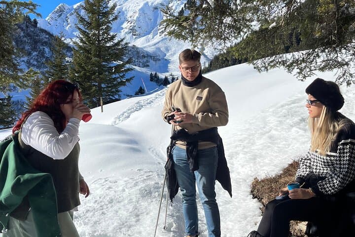 Mürren Snowshoe & Raclette Adventure: Alpine Trails, Quiet Views, Swiss Picnic photo 4