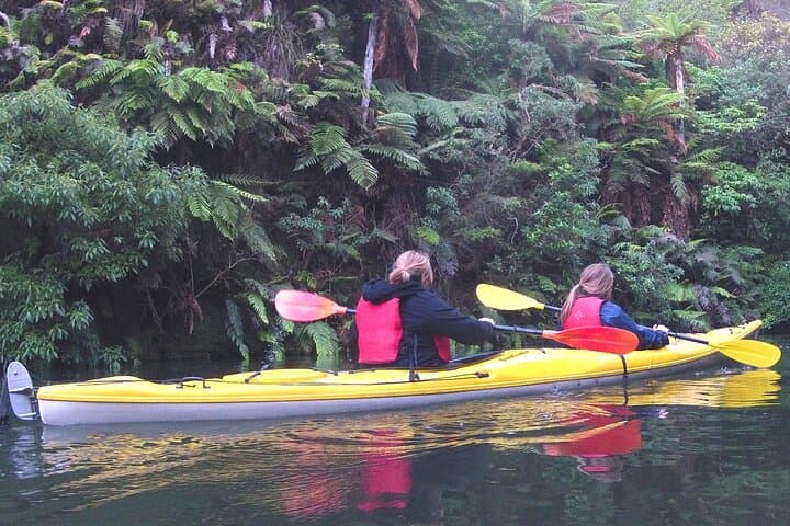 Glowworm Kayak Adventure on the Waikato River — Epworth Camp Evening Paddle