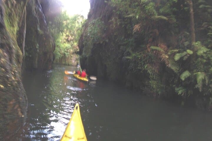 Glowworm Kayak Adventure on the Waikato River — Epworth Camp Evening Paddle photo 3