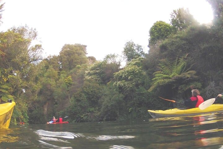Glowworm Kayak Adventure on the Waikato River — Epworth Camp Evening Paddle photo 4
