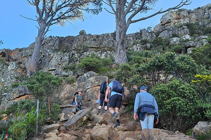Lion Head Sunrise & Sunset Hike — Guided Cape Town Experience photo 3