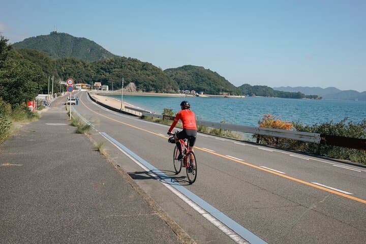 Half-Day Shimanami Kaido E‑Bike Tour: Onomichi, Mukaishima & Ikuchijima photo 1