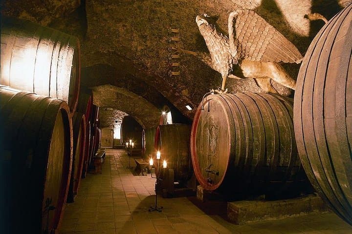 Bohemian Gastronomic Journey from Prague — Wine, Game & Kokořín Castle photo 4