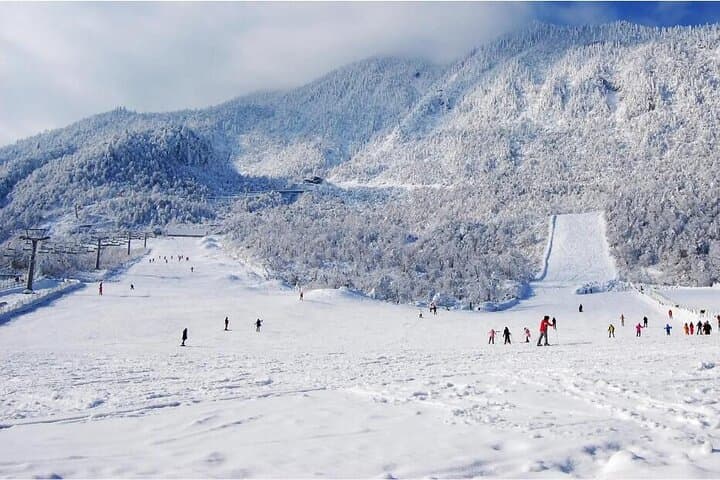 Xiling Snow Mountain Private Tour — Chengdu Day Trip to Skiing, Cloud Seas & Yin-Yang Boundary photo 5