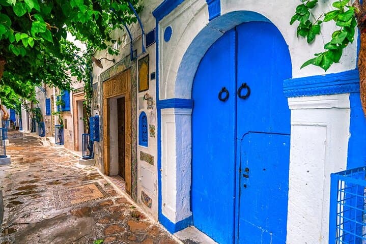Tunis Shore Excursion: Medina, Carthage & Sidi Bou Said in One Day photo 6