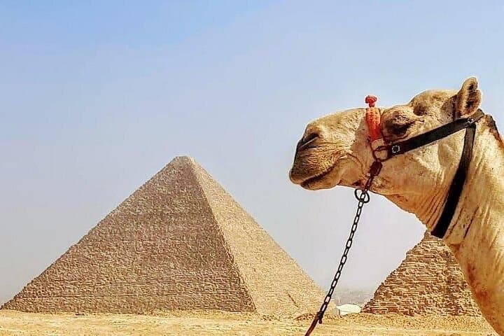 Private Day Trip to Cairo from Hurghada by Plane — Pyramids, Sphinx & Museum photo 4