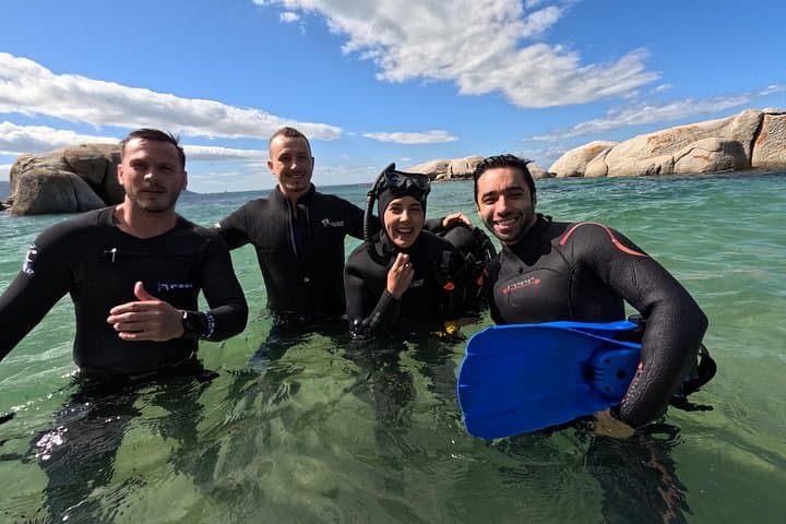 Blue Safari Kelp Snorkeling in Simon's Town — Kelp Forests & Penguin Walk photo 4