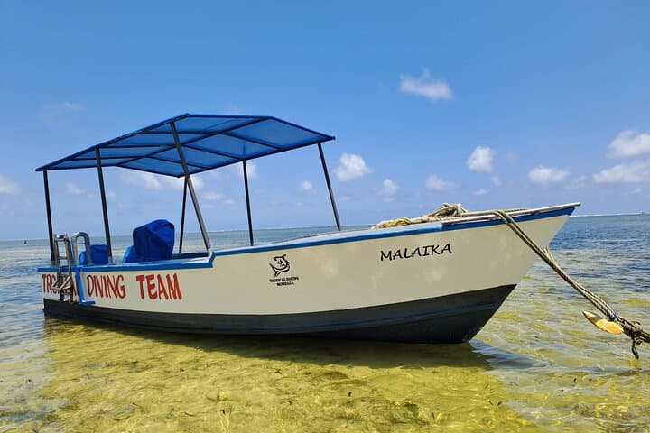Coastal Explorer: Mtwapa Creek & Mombasa North Coast Speedboat Ride