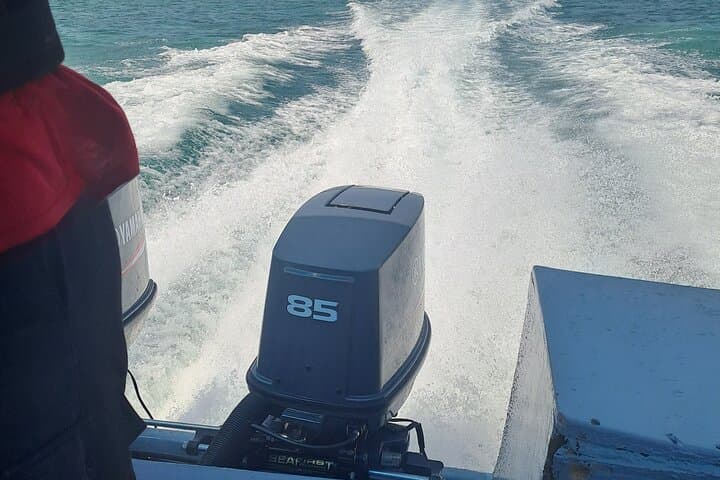 Coastal Explorer: Mtwapa Creek & Mombasa North Coast Speedboat Ride photo 4