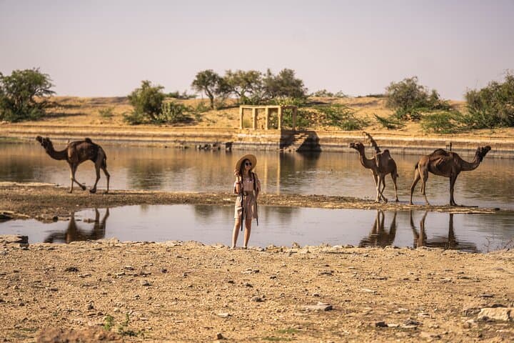 Private Jaisalmer Rural Farm Tour: Hands-On Desert Farm Experience