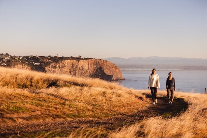Discover the Pristine Beauty of Lyttelton's Godley Head Loop photo 3