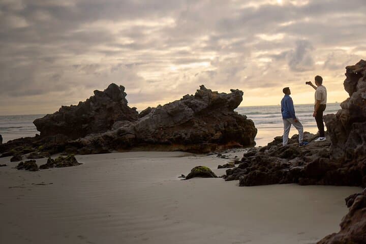 Discover the Wonders of Godley Head: Guided Walking Tour & Picnic photo 3
