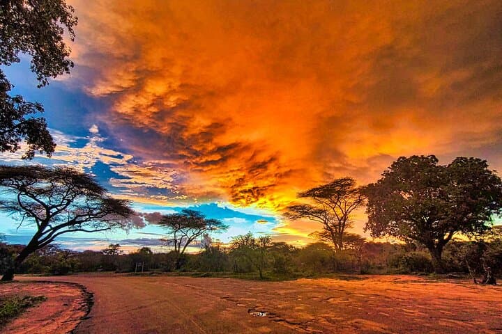 Zambezi National Park 3-Hour Game Drive from Victoria Falls photo 3