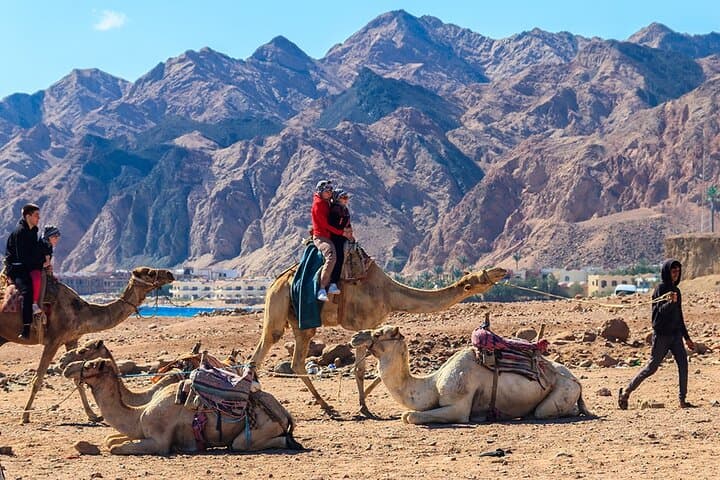 Dahab Camel Trek: Private Desert-and-Beach Ride with Lunch photo 5